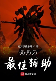 峽谷之最佳輔助